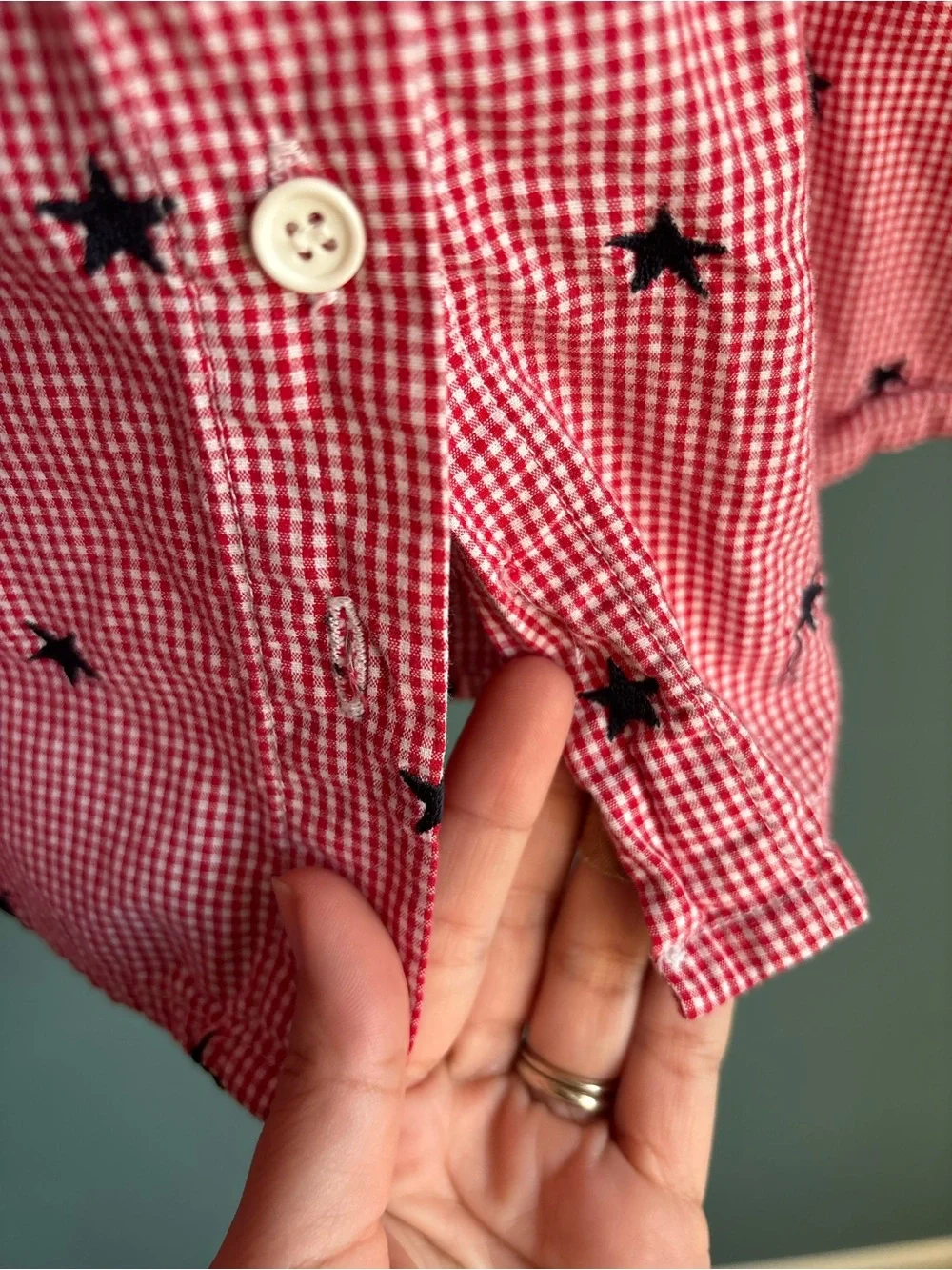 VTG Toffee Apple Gingham Dress
